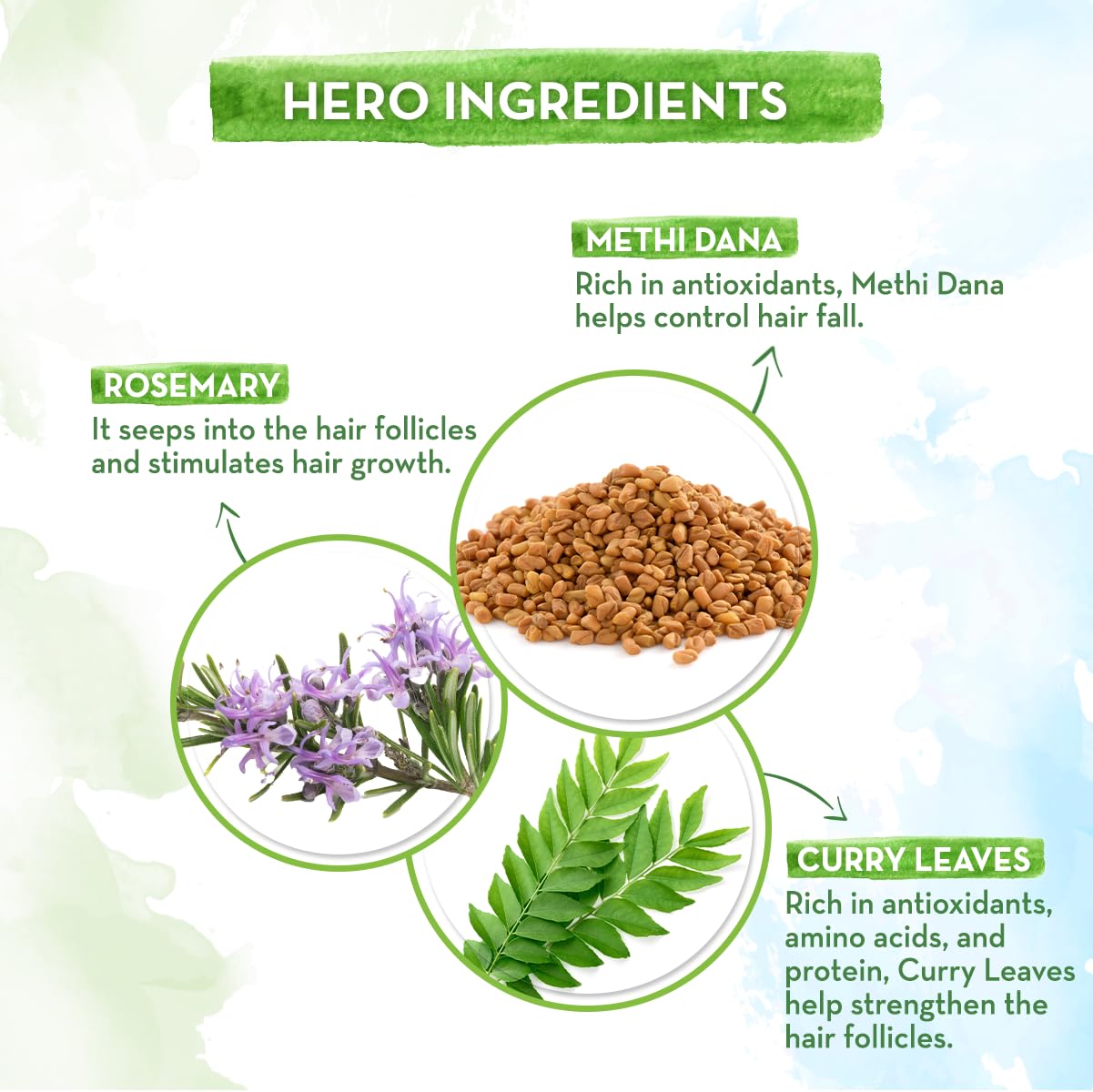 Mamaearth Rosemary Anti-Hair Fall Shampoo – 250ml - Image 4